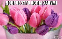 доброе утро аслы ханум! 