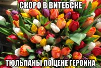 скоро в витебске тюльпаны по цене героина