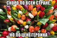 скоро по всей стране, но по цене героина