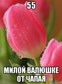 55 милой валюшке от чапая