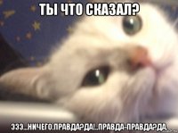 ты что сказал? эээ...ничего.правда?да!..правда-правда?да.