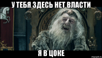 у тебя здесь нет власти я в цоке