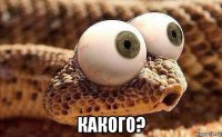  какого?