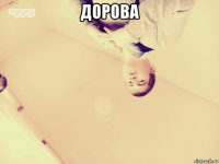 дорова 