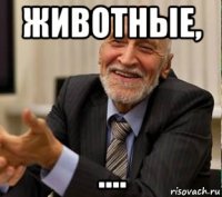 животные, ....