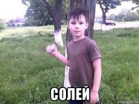  солей