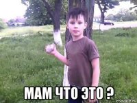  мам что это ?