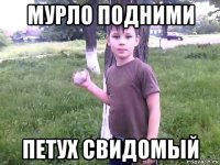 мурло подними петух свидомый