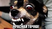  красная точка!