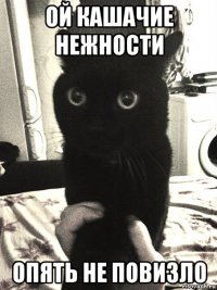 ой кашачие нежности опять не повизло
