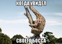 когда увидел своего босса