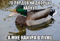 70 лярдов на дворцы хапнул а мне канура в луже