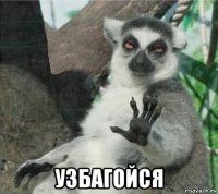  узбагойся