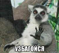  узбагойся