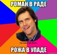 роман в раде рожа в упаде