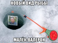 новый вид рыбы малёк-валерон