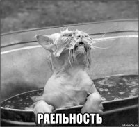  раельность