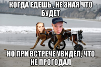 когда едешь , не зная что будет но при встрече увидел, что не прогодал