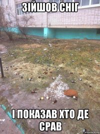 зійшов сніг і показав хто де срав