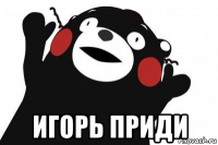  игорь приди