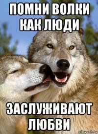 помни волки как люди заслуживают любви