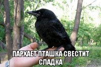  пархает пташка свестит сладка