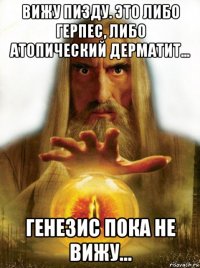 вижу пизду. это либо герпес, либо атопический дерматит... генезис пока не вижу...