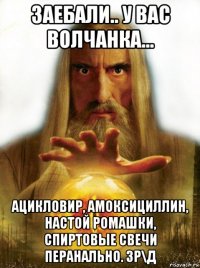 заебали.. у вас волчанка... ацикловир, амоксициллин, настой ромашки, спиртовые свечи перанально. 3р\д