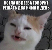 когла авдеева говорит решать два кима в день 