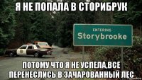 я не попала в сторибрук потому что я не успела,все перенеслись в зачарованный лес
