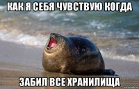 как я себя чувствую когда забил все хранилища