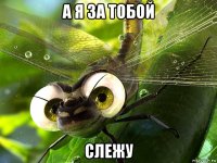 а я за тобой слежу