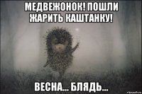 медвежонок! пошли жарить каштанку! весна... блядь...