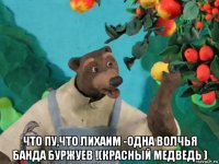  что пу,что лихаим -одна волчья банда буржуев !(красный медведь )