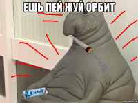 ешь пей жуй орбит 