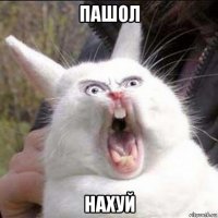 пашол нахуй
