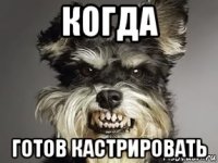 когда готов кастрировать