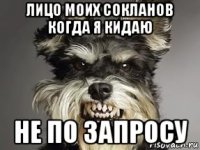 лицо моих сокланов когда я кидаю не по запросу