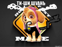 ти-ши шуань 