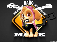 найс 