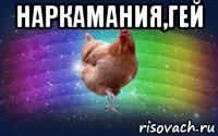 наркамания,гей 