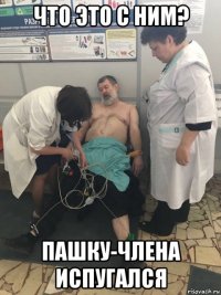 что это с ним? пашку-члена испугался