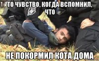 то чувство, когда вспомнил, что не покормил кота дома