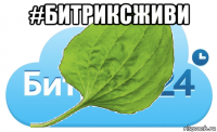 #битриксживи 