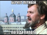 беркут летный погода ляпота