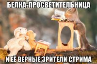 белка-просветительница и её верные зрители стрима