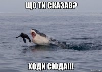 що ти сказав? ходи сюда!!!
