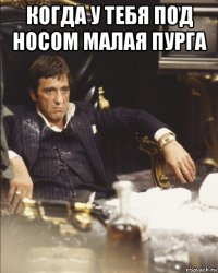 когда у тебя под носом малая пурга 