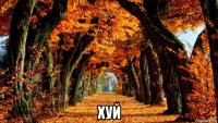  хуй