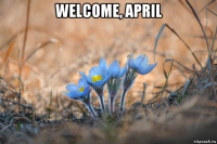 welcome, april 